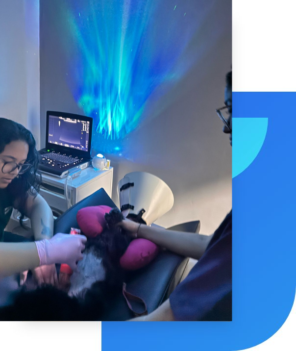 Centro Veterinário Paraíso