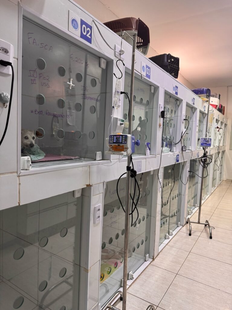 Veterinario aberto hoje em guarulhos