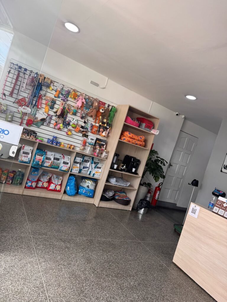Veterinario 24 horas em guarulhos