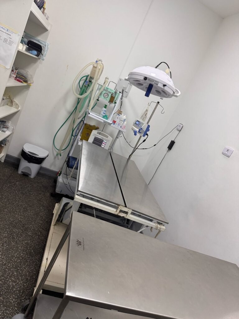 Veterinaria que atende aves em guarulhos